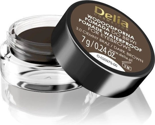 Delia Cosmetics Eyebrow Expert Αδιάβροχο Pomade για Φρύδια 3.0 Dark Brown 7gr