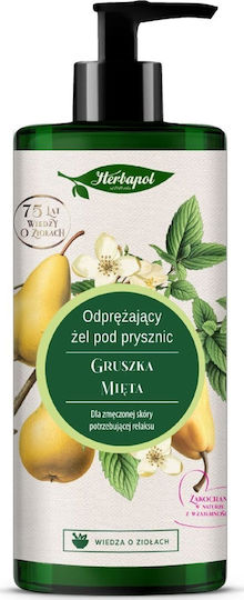 Herbapol Herbapol Schaumbad in Gel & Duft Minze 740ml