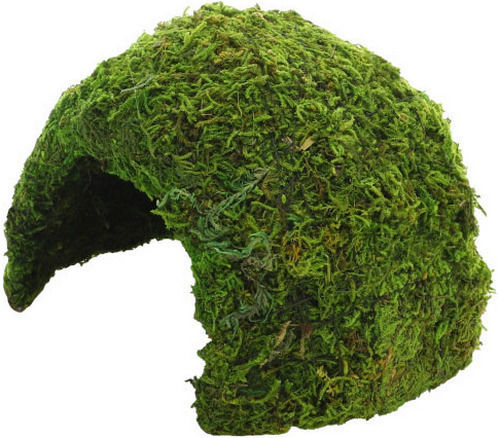 Shrimp Fish Nest Hobby Terrarium Jungle Cave 2 17x17x12 cm