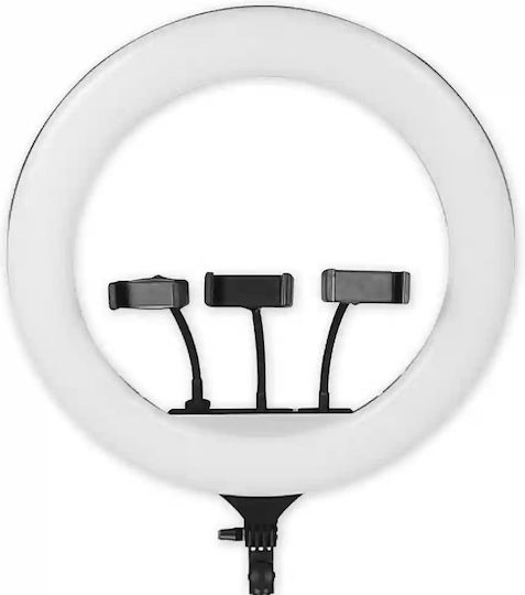 Ring Light 45.72cm with Mobile Phone Holder