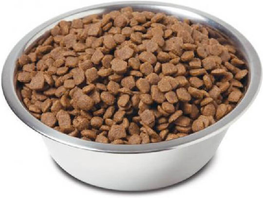 Morando Miglior Nassfutter Hunde in Tablett mit Rindfleisch 150gr