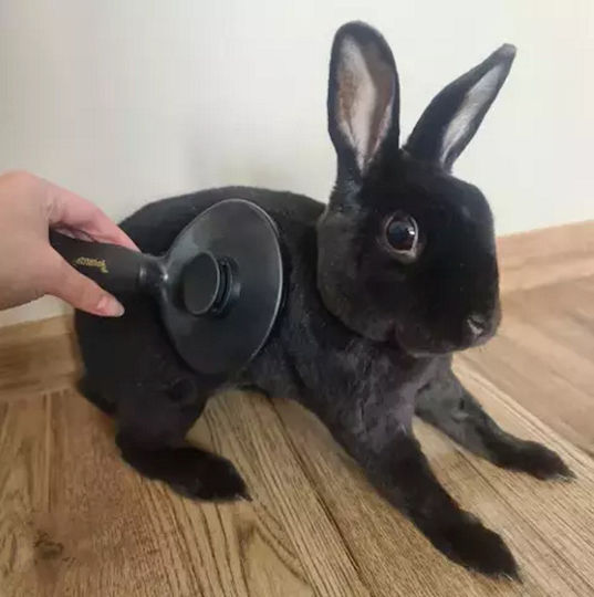 Perie pentru îngrijirea blănii animalelor de companie, cu mâner ergonomic antiderapant, buton pentru îndepărtarea părului de pe peri, ideală pentru clinici veterinare, saloane de toaletaj și utilizare acasă