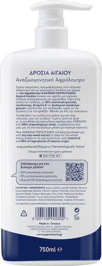 Papoutsanis Karavaki Αφρόλουτρο σε Gel Ενυδατικό 750ml