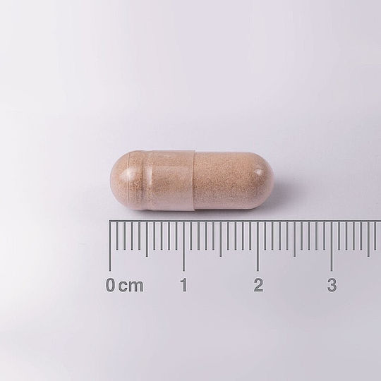 Lamberts L-Theanine 200мг 60 Капсули