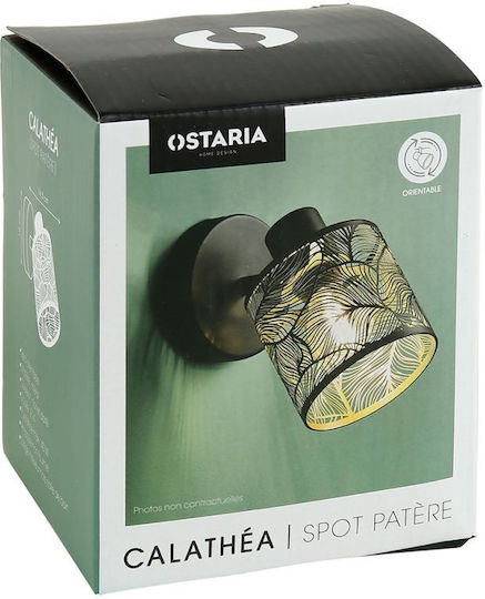 Ostaria Einzel Spot mit Fassung E14 in Schwarz Farbe