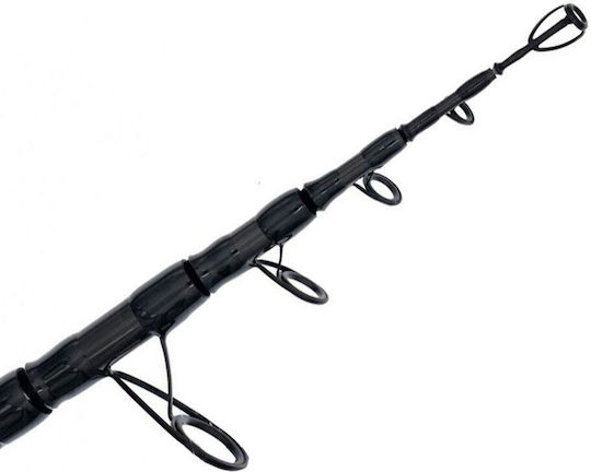 Shimano Aerlex Fishing Rod for Surf Casting 4.5m 170gr