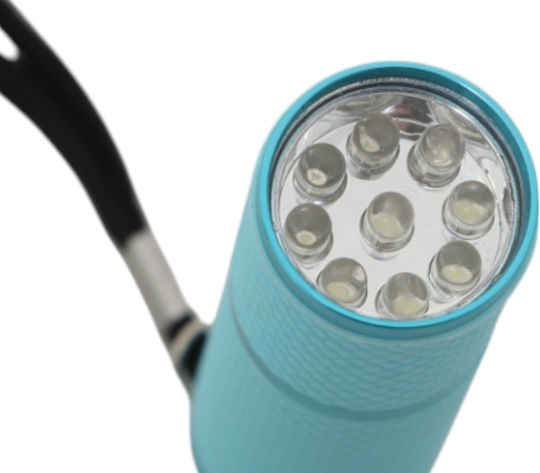 Campus Taschenlampe LED Rot Grün