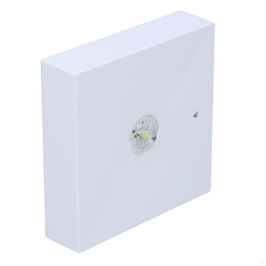 Awex LED Notausgangsleuchte 1Stück