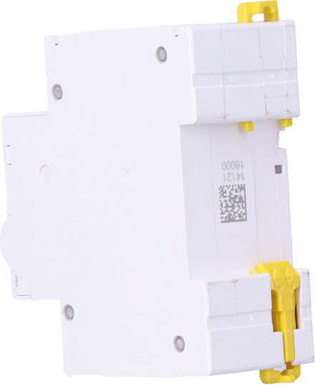 Schneider Electric 2-Poles Panel Push Switch 230V 16A