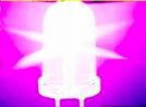 Ultra Violet LEDs 5mm 390-395nm Lila