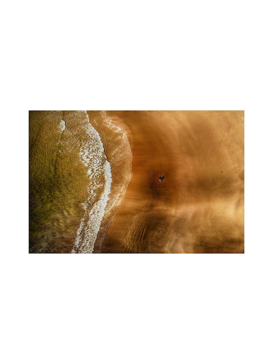 Панел Lone Figure On Beach Монашеска Фигура На Плаж 30x20