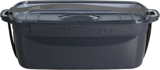 Viosarp Plastic Lunch Box Gray