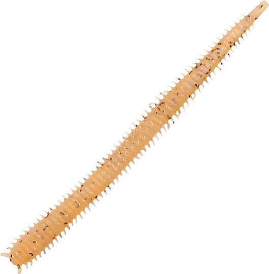 Silicone Marukyu Isome XL #7090 Natural Pink
