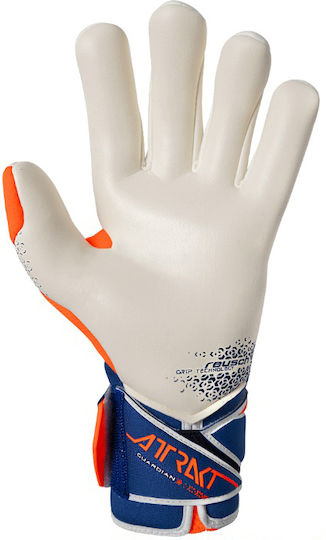 Reusch Reusch Attrakt Adults Goalkeeper Gloves Multicolour