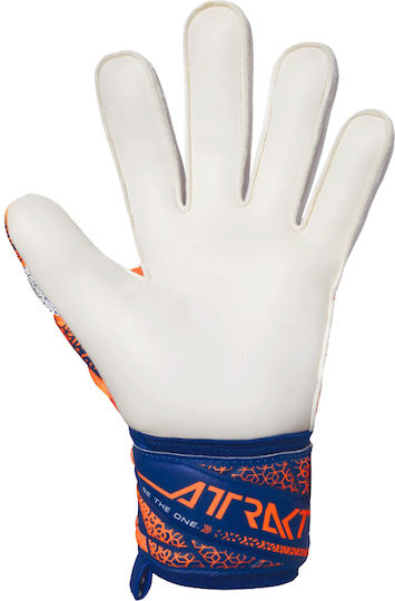 Reusch Reusch Attrakt Adults Goalkeeper Gloves Multicolour