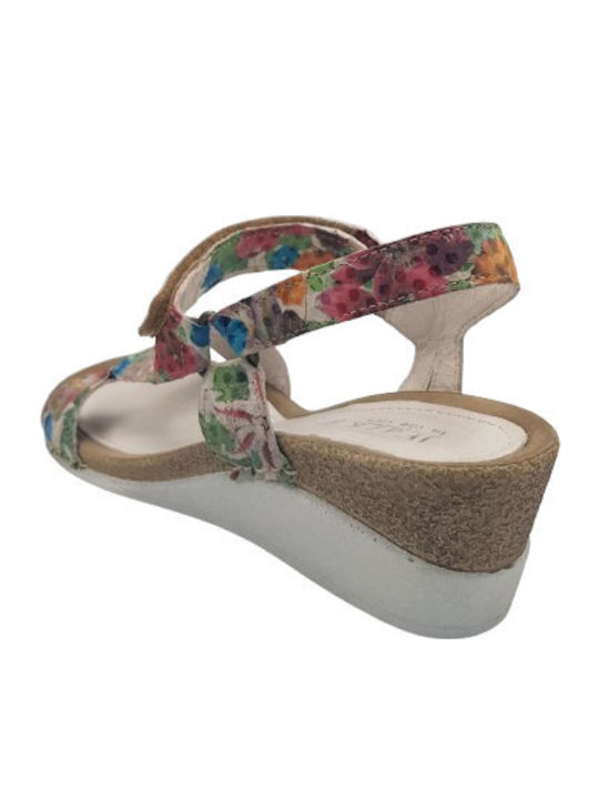 Anatomic Women's Leather Platform Shoes Multicolour