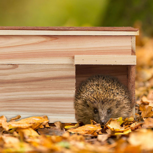 Hedgehog House Floor Made Wood 21 X 40 X 30 Cm
