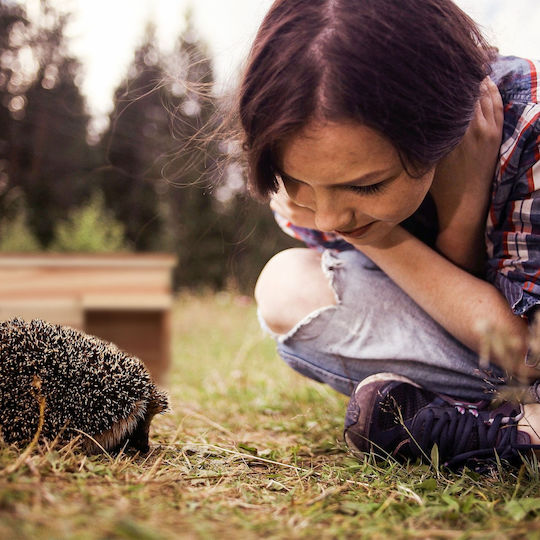 Hedgehog House Floor Made Wood 21 X 40 X 30 Cm