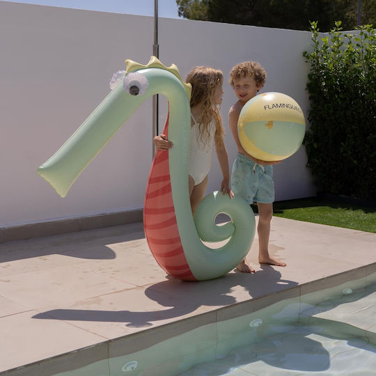 Minge Gonflabilă Verde De Plajă 40cm Diametru Baloo Flamingueo