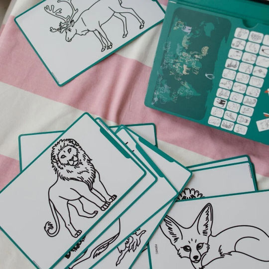 Kidywolf Kids Drawing Tablet LCD Screen 30 Cards Animals Around World