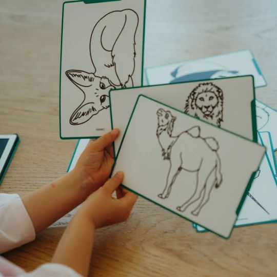 Kidywolf Kids Drawing Tablet LCD Screen 30 Cards Animals Around World