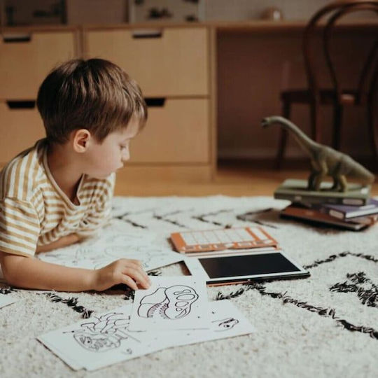 Kidywolf Kids Writing Tablet LCD Screen 30 Cards Dinosaurs