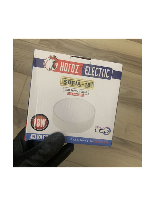 Horoz Electric Deckenleuchte LED
