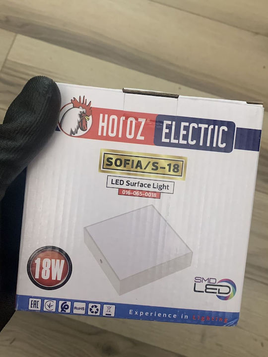 Plafonieră LED Pătrată Sofia 18W Lumină Rece Albă 120x120 mm 1620 lm Albă