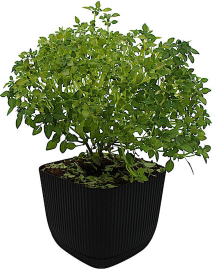 Topf Kunststoff Black mit Untersetzer 15x15x13cm.