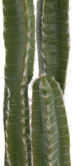 Decorative Synthetic Plant Hm4741 Cactus Pot Φ19 5x141cm