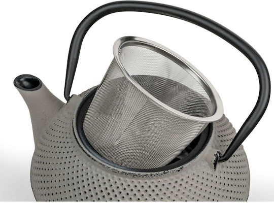 Bredemeijer Jang Teekanne mit Filter Gray 800ml