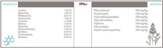 Acana Puppy Small Breed 2kg Ξηρά Τροφή χωρίς Σιτηρά για Κουτάβια Μικρόσωμων Φυλών με Κοτόπουλο και Ψάρια