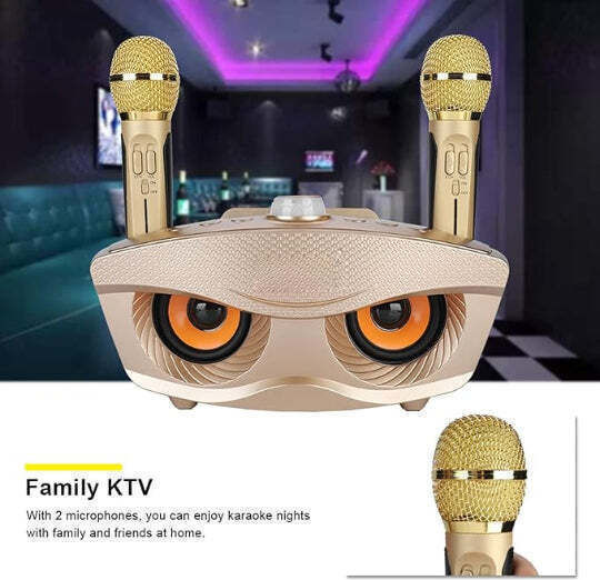 Ηχείο Karaoke με Ασύρματα Μικρόφωνα SD-306S Χρυσό
