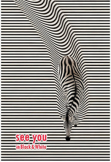 Black & White Spiral Heft Geregelt A4 3 Themen 1Stück (Μiverse Designs)