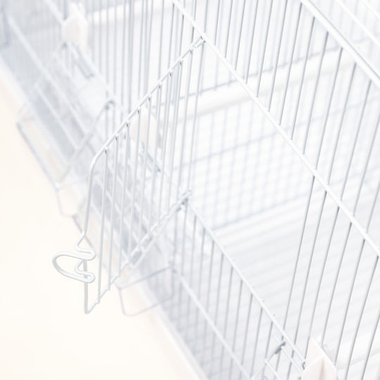 Bird Cage Breeding Board 2 Kourk” 58x32x40cm. Pink