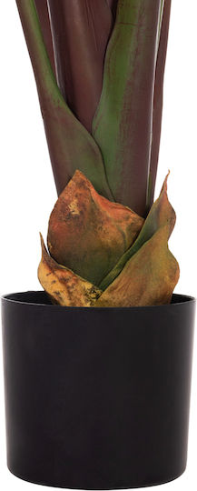 Decorative Synthetic Plant Hm4740 Japanese Banana Pot 85x75x225cm