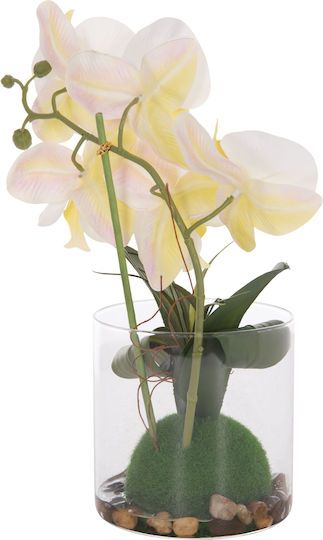 Dekoratives Künstliches Pflanze Hm4738 Blume Phalaenopsis Glasvase 12x24x30cm