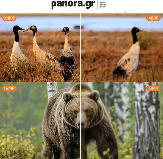 Panora Night Vision Hunting Camera