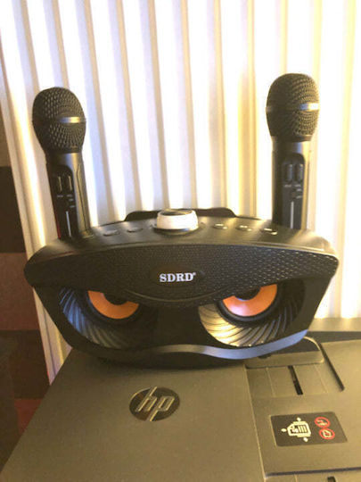 Karaoke Speaker with Wireless Microphones and Lighting Effects SD-306S Black
