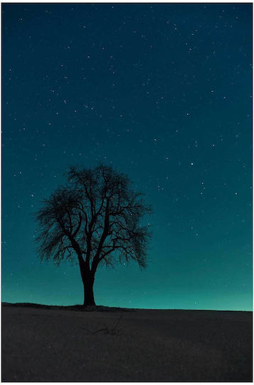 Πίνακας Lonely Tree Under A Starry Night Μοναχικό Δέντρο Κάτω Μια Έναστρη Νύχτα 50x80