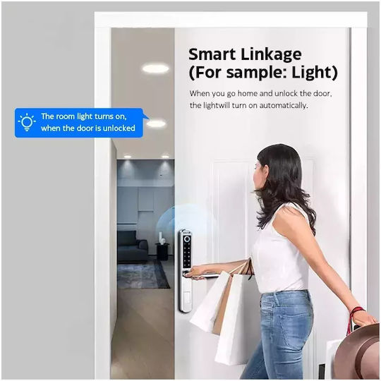 Lacăt Electronic în culoare Argintiu cu Conectivitate Wi-Fi