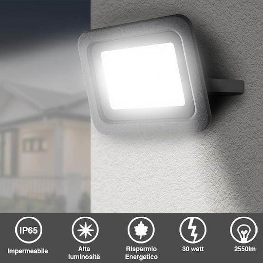 Bakaji Στεγανός Προβολέας LED 30W Ψυχρό Λευκό 6500K IP65