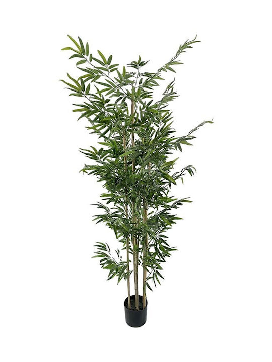 Διακοσμητικό Φυτό Bamboo Γλάστρα Inart Πράσινο Pp Υ190εκ
