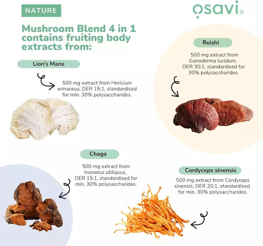 Osavi Mushroom Blend 4 in 1 180гр