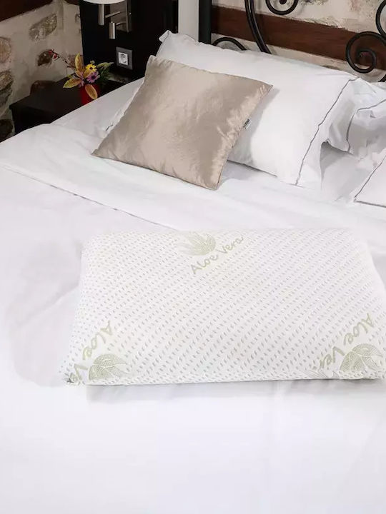 Alpha Foam Relax Aloe Vera Bed Pillow Memory Foam Anatomic 40x60x13cm