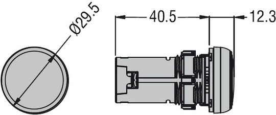 Indicative Single Blue Lamp Φ22 230V AC IP66