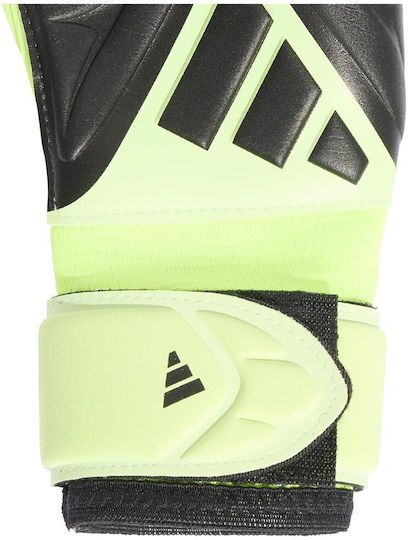 adidas Copa Gl League Голмански ръкавици Детски Зелени