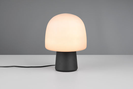 Trio Lighting Διακοσμητικό Φωτιστικό E14 20x27εκ.