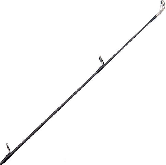 Daiwa RZ Angelrute für Spinnfischen / Schweres Brandungsangeln 2.72m 14-56gr