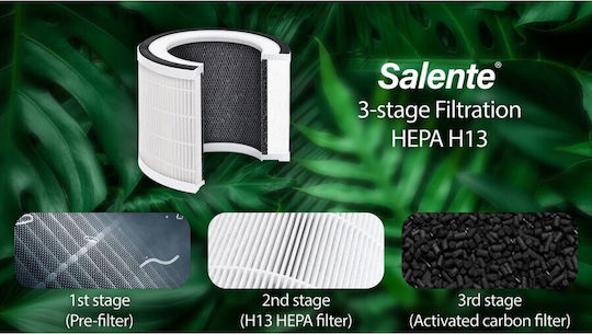 Salente Filters Electric Vacuum